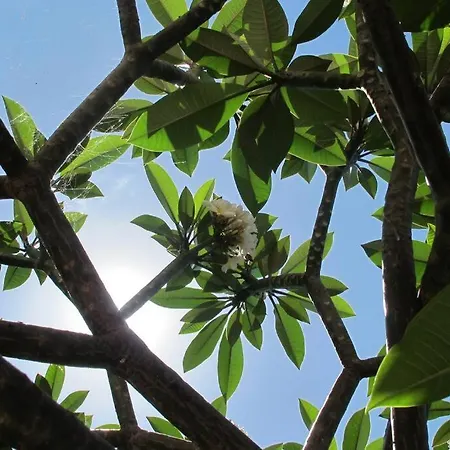 בית נופש A Life In The Sun By Slice Of Heaven קלייטה